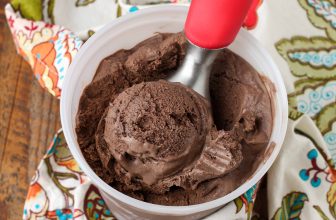 Chocolate Chocolate Chip Ice Cream