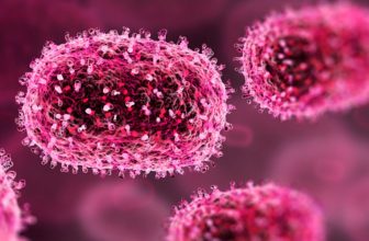 WHO Declares Mpox a Global Health Crisis. Here’s What You Should Know