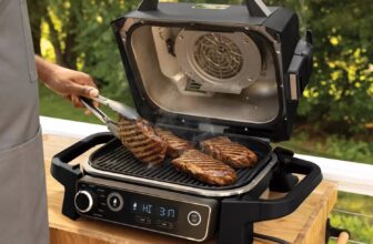 This Ninja Woodfire Outdoor Grill and Smoker Is 20% off for Labor Day