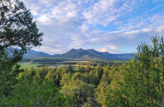 The Little Things Newsletter #427 – Life, laughter, and lots of great food!