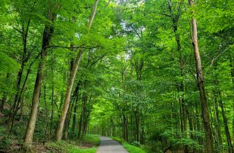 The Little Things Newsletter #428 – Life, laughter, and lots of great food!