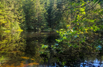 The Little Things Newsletter #430 – Life, laughter, and lots of great food!