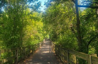 The Little Things Newsletter #431 – Life, laughter, and lots of great food!