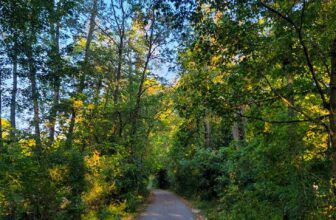 The Little Things Newsletter #432 – Life, laughter, and lots of great food!