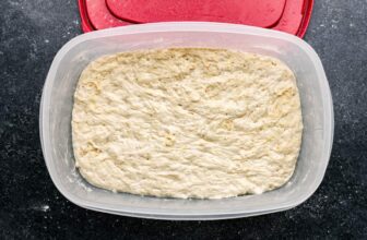 Refrigerator Pizza Dough – The Stay At Home Chef