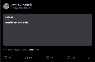 Elon Musk claims ‘massive DDOS attack’ delayed his live stream with Donald Trump