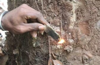 Artifacts in Island Cave Push Back Arrival of Humans in the Pacific