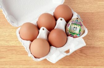 A Tamagotchi made with real egg