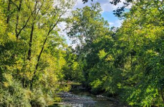 The Little Things Newsletter #434 – Life, laughter, and lots of great food!