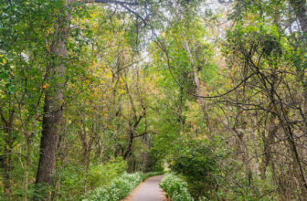 The Little Things Newsletter #435 – Life, laughter, and lots of great food!