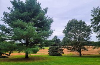 The Little Things Newsletter #436 – Life, laughter, and lots of great food!