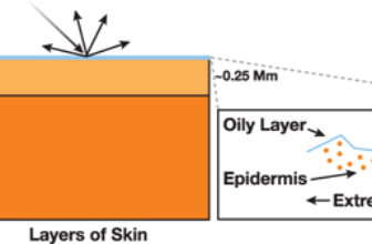 The Future of Skincare: Custom Cosmetics Powered by Visual Skin Analysis