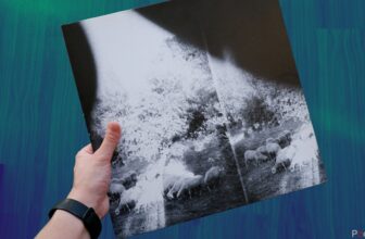 5 reasons audiophiles listen to vinyl records