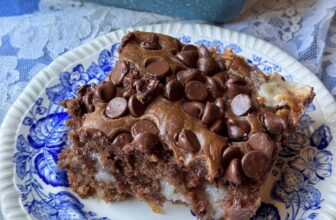 CHOCOLATE EARTHQUAKE CAKE – The Southern Lady Cooks