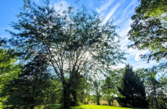 The Little Things Newsletter #437 – Life, laughter, and lots of great food!