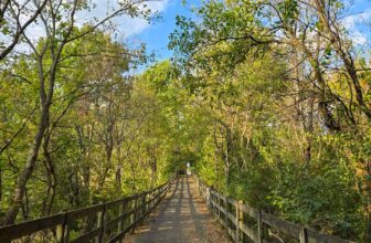 The Little Things Newsletter #439 – Life, laughter, and lots of great food!