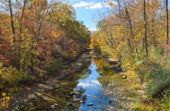 The Little Things Newsletter #440 – Life, laughter, and lots of great food!