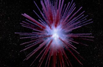 A Mysterious 900-Year-Old Nebula Gets Mapped in Stunning Detail