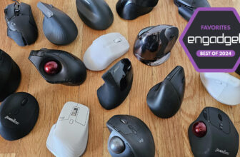The best ergonomic mouse for 2024