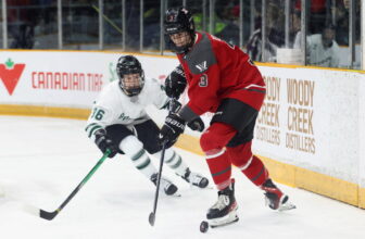 The Professional Women’s Hockey League will join EA’s NHL 25 this year