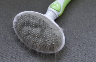 A 16-Year-Old Girl’s Stomach Pain Turned Out to Be a Giant Hairball