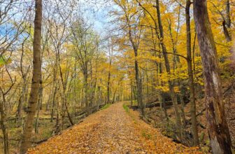 The Little Things Newsletter #441 – Life, laughter, and lots of great food!