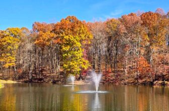 The Little Things Newsletter #442 – Life, laughter, and lots of great food!