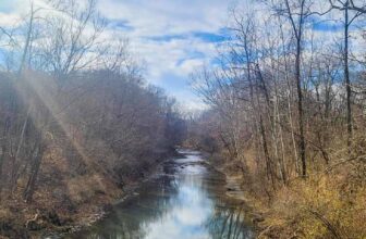 The Little Things Newsletter #445 – Life, laughter, and lots of great food!