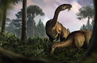 Deep Inside Fossilized Dino Vomit and Poop, Scientists Unearth a Jurassic World