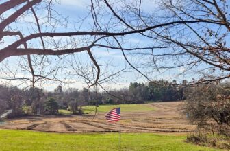 The Little Things Newsletter #449 – Life, laughter, and lots of great food!