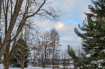 The Little Things Newsletter #450 – Life, laughter, and lots of great food!