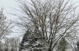 The Little Things Newsletter #451 – Life, laughter, and lots of great food!