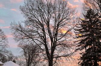 The Little Things Newsletter #452 – Life, laughter, and lots of great food!