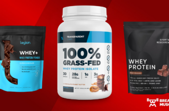 Best Whey Protein Powders of 2025