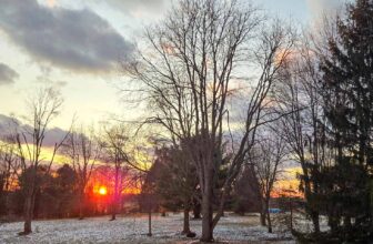 The Little Things Newsletter #459 – Life, laughter, and lots of great food!