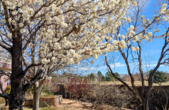 The Little Things Newsletter #461 – Life, laughter, and lots of great food!