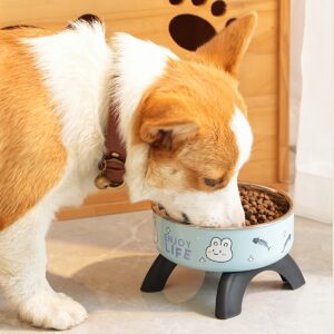 Tigela Elevada para Animais de Estimação em Aço Inoxidável com Padrão Fofo – Design Antiderrapante e à Prova de Derramamentos para Cães Pequenos & Gatos
