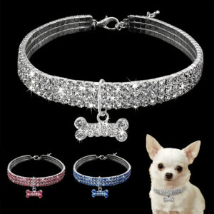 Colar Ajustável com Strass para Cães de Estimação