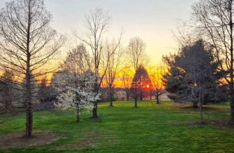 The Little Things Newsletter #464 – Life, laughter, and lots of great food!