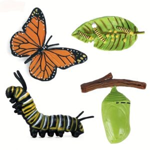 Kit de Ciclo de Vida da Borboleta Monarca com 4 Peças – Auxílios de Ensino em PVC Vibrante para Crianças, Com Estágios de Ovo, Larva, Pupa e Adulto em Branco/Verde/Amarelo/Preto, Aplicação de Borboleta