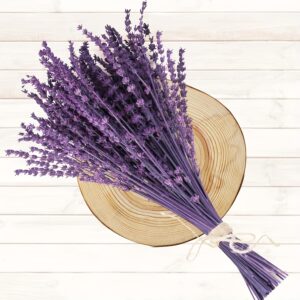 Buquê de Lavanda Roxa Seca Premium com Mais de 50 Hastes – 15-17 Flores Preservadas Violetas com Aroma Aromático para Decoração de Casa, Chás de Bebê, Artesanato & Aromaterapia, Ideal para o Natal, Perfeito para o Dia de Ação de Graças