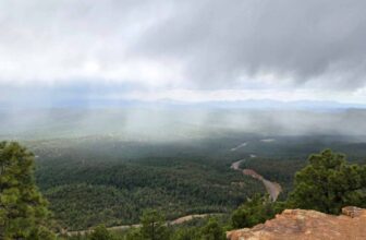 The Little Things Newsletter #468 -Life, laughter, and lots of great food!