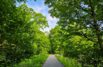 The Little Things Newsletter #471 – Life, laughter, and lots of great food!